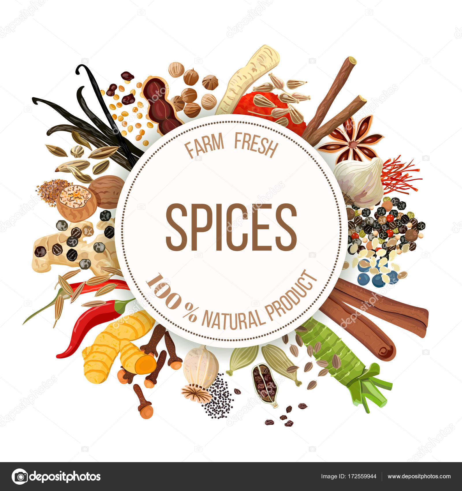 Set spices and herbs for cooking Royalty Free Vector Image