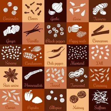 Baharat çizilmiş vektör kare büyük Icon set el