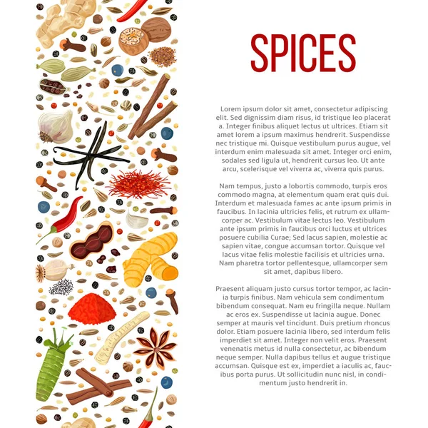 Different spices with description text — Stock Vector