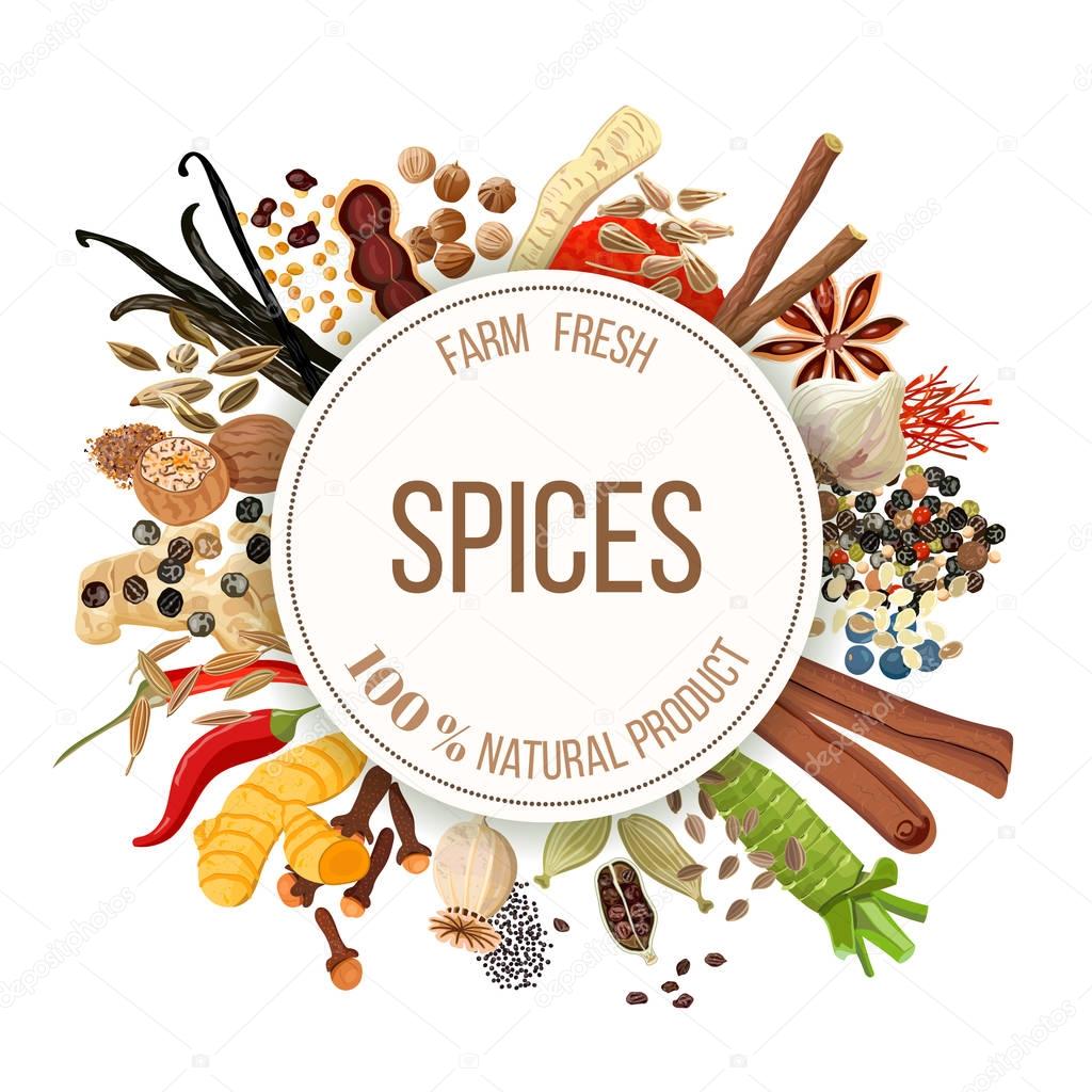 Culinary spices big set
