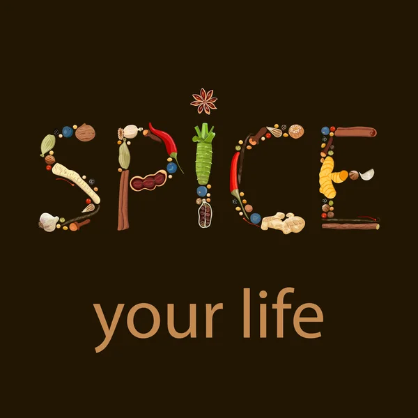 Spice your life. humorous quote. Text made of spices. Black background — Stock Vector