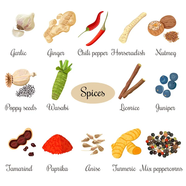 Stora Ikonuppsättning av populära kulinariska kryddor — Stock vektor