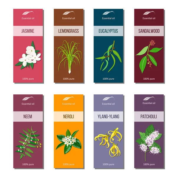 Colección de etiquetas de aceite esencial. Sándalo, pachulí, Ylang-ylang, neem, neroli, limoncillo, eucalipto, jazmín — Vector de stock