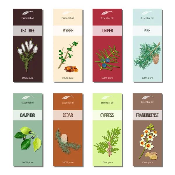 Essential oil labels collection. Tea tree, myrrh, juniper, pine , cinnamon, camphor, cedar, cypress, frankincense — Stock Illustration Essential oil labels collection. Tea tree, myrrh, juniper, pine , cinnamon, camphor, cedar, cypress, frankincense Stock Vector