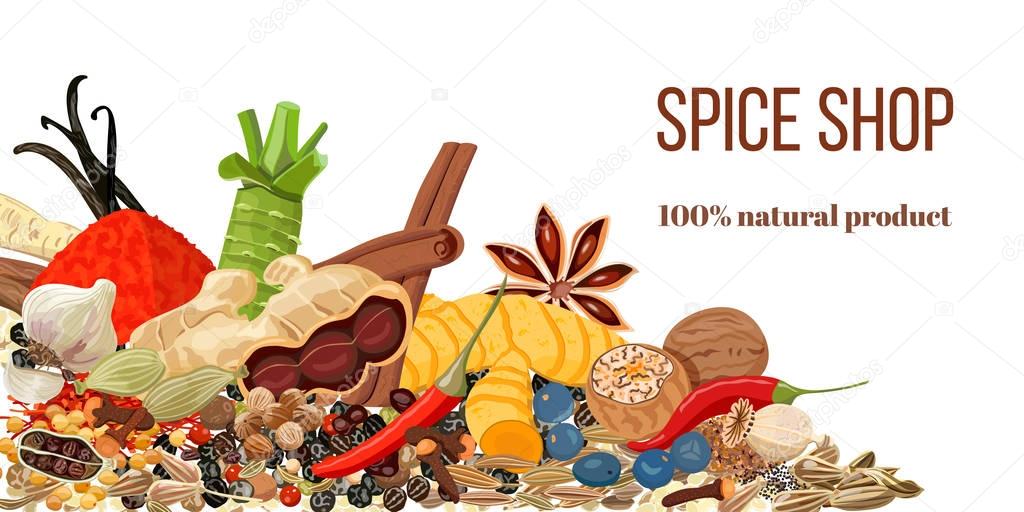 Set of Realistic popular culinary spices. Spice store logo. Shop sign