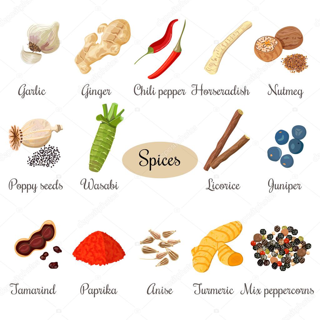 Icon big set of popular culinary spices