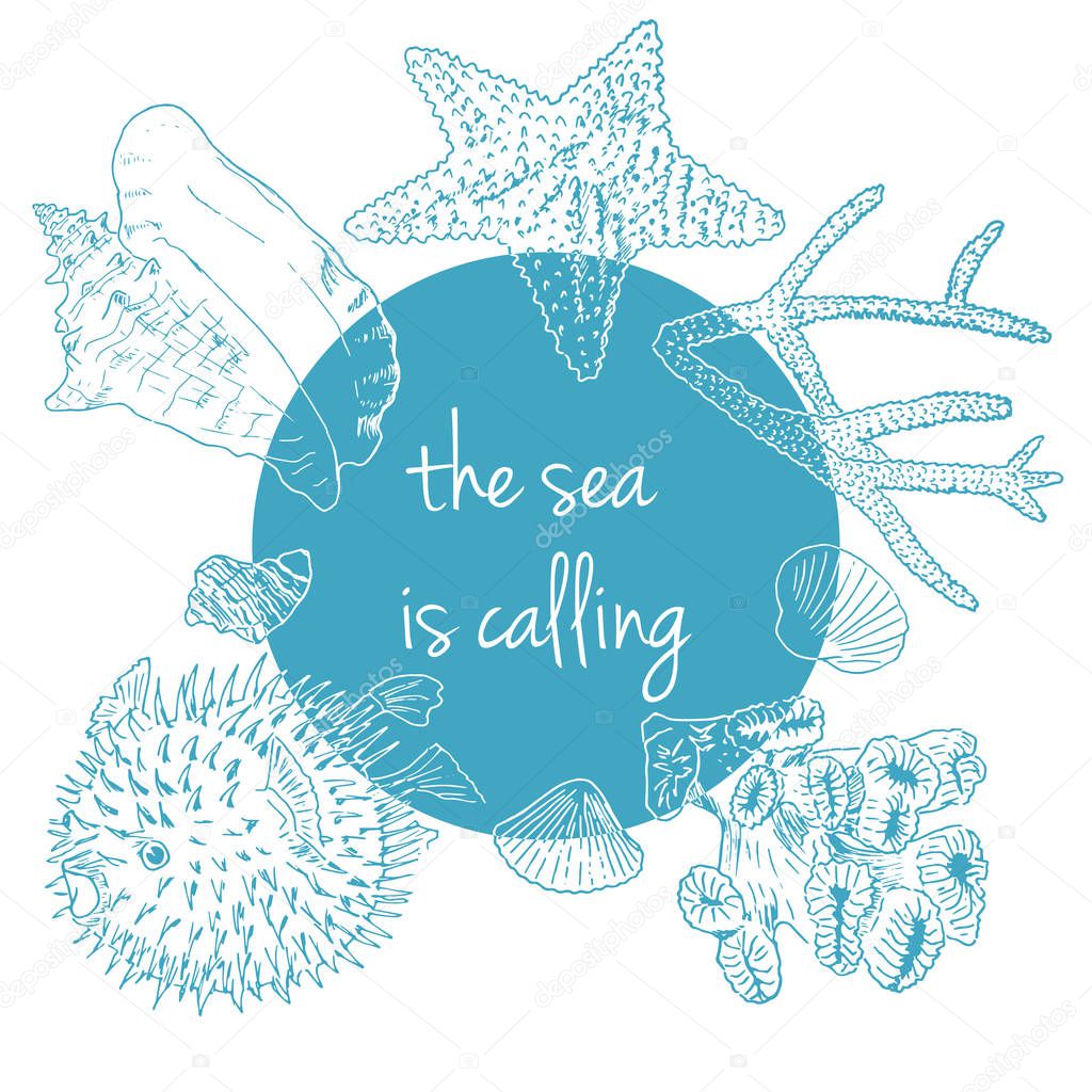 Sea is calling. Marine background with seashells, corals and starfish