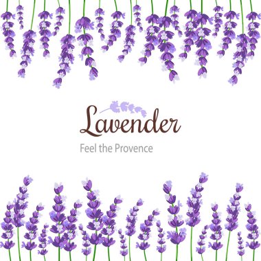 Lavanta kartı çiçekli. Provence mor lavanta Vintage etiketle.
