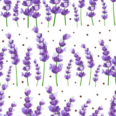 Provence mor lavanta çiçekleri beyaz bir arka plan üzerinde noktalı seamless modeli. Vektör çizim.