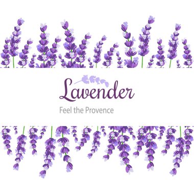 Lavanta kartı çiçekli. Provence mor lavanta Vintage etiketle.