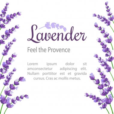 Lavanta kartı çiçekli. Provence mor lavanta Vintage etiketle.