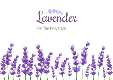 Lavanta kartı çiçekli. Provence mor lavanta Vintage etiketle.