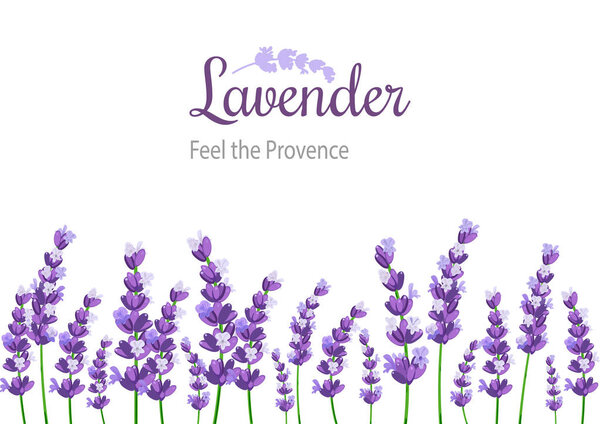 Лаванда с цветами. Винтажная этикетка с провансовой фиолетовой лавандой
.