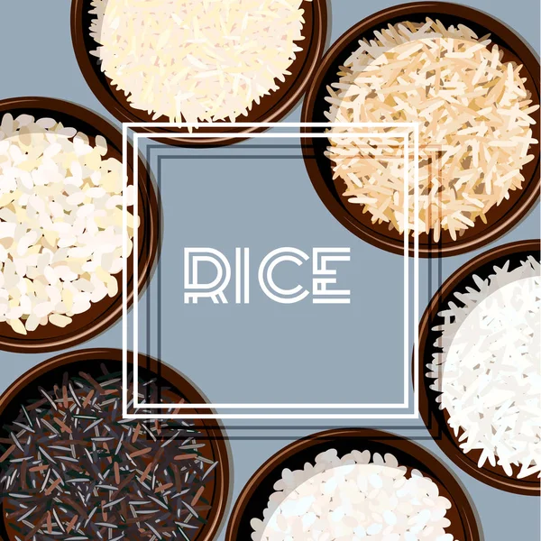 Diversi tipi di riso in ciotole. Basmati, selvatico, gelsomino, marrone lungo, arborio, sushi — Vettoriale Stock