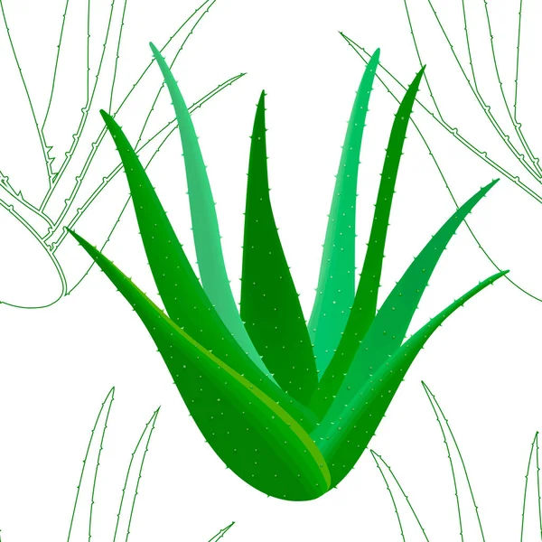 Motif sans couture aloe vera avec silhouettes — Image vectorielle