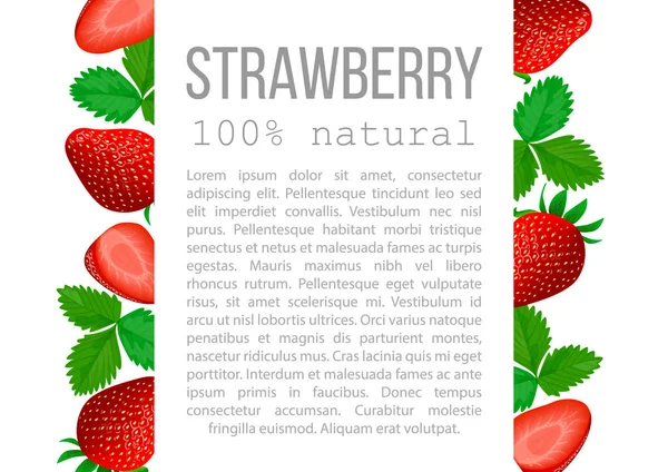 Strawberry with leaves poster with description text — Stock Vector