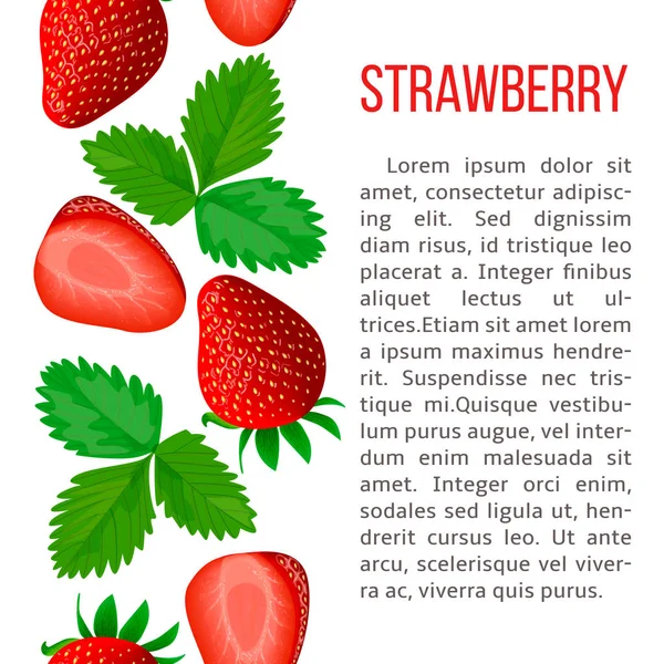 Ripe strawberry. stripe with description text. Concept idea — Stock Vector