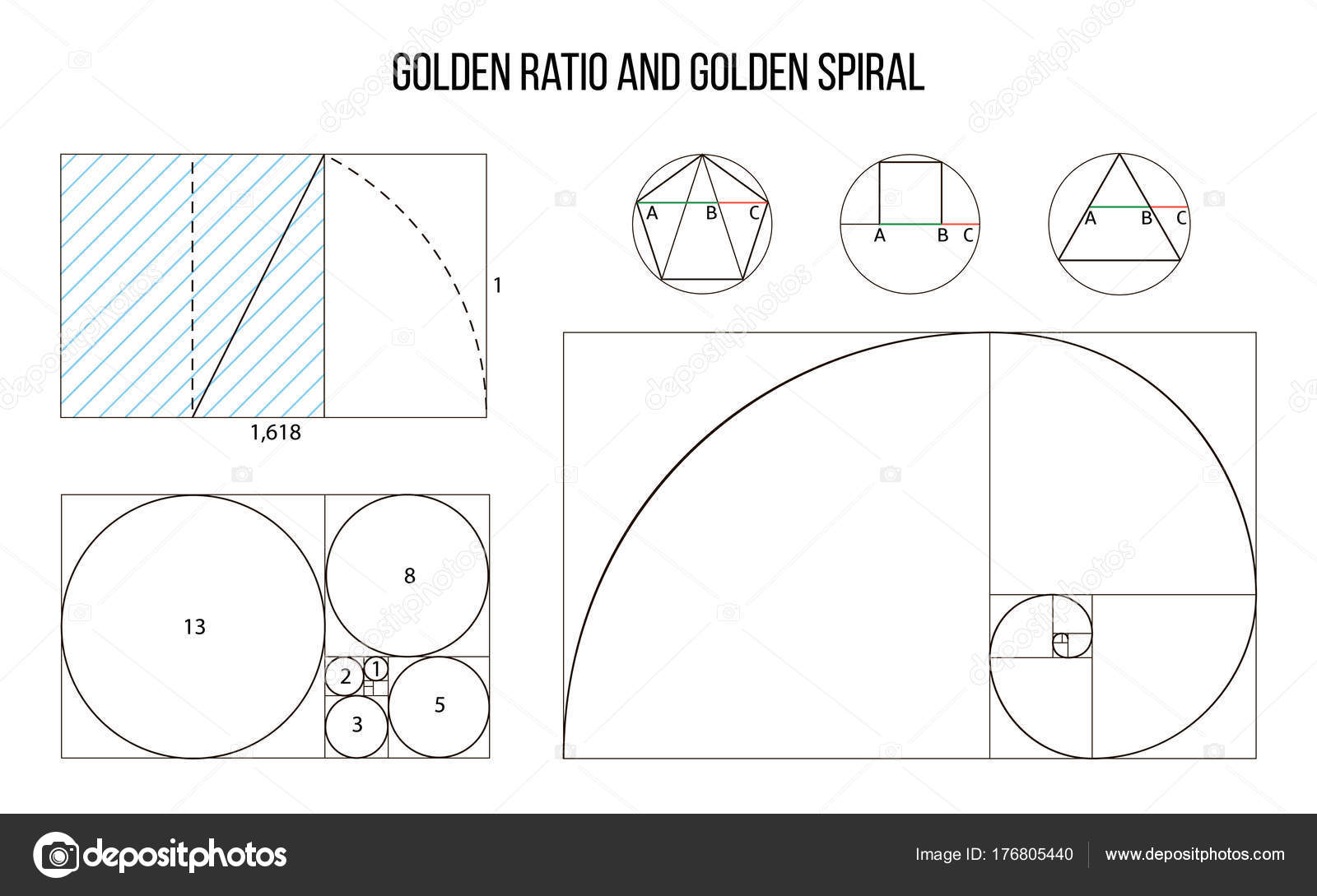 黄金比例模板向量, 神圣比例, 黄金比例图库矢量图©everilda.mary.gmail.com 176805440