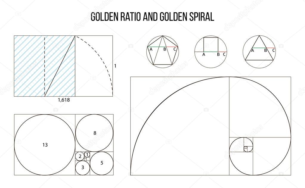 golden ratio template vector, Divine Proportions, Golden Proportion
