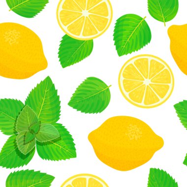 Limon ve taze nane yaprakları Tema. Dikişsiz desen vektör
