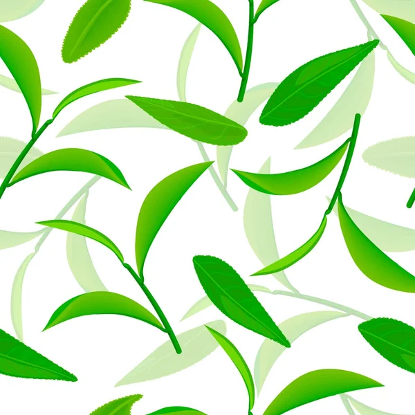 Hojas de té verde que vuelan vívidamente, patrón de vectores sin costuras. fondo blanco 3d ilustración — Vector de stock