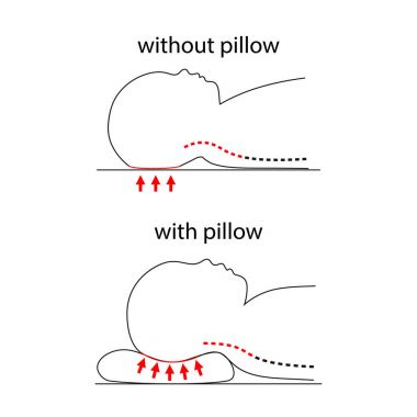 Illustration of spine line when baby sleeps on normal pillow and healthy pillow. vector Illustration of spine line when baby sleeps on normal pillow and healthy pillow. vector