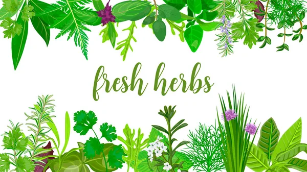 Népszerű friss reális gyógynövények és virágok. Logo címke meg. zöld sziluettek. — Stock Vector
