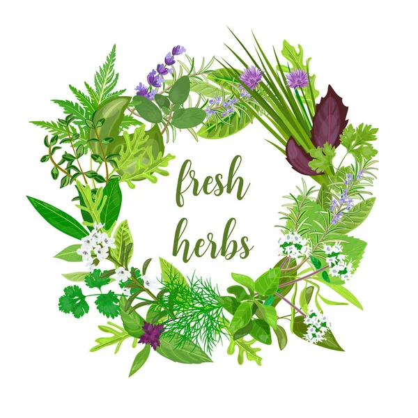 Koszorú reális gyógynövények és virágok szöveggel. Gyógynövények és fűszerek — Stock Vector