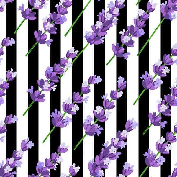 Padrão sem costura de flores de lavanda violeta provence em listras pretas. Ilustração vetorial . — Vetor de Stock