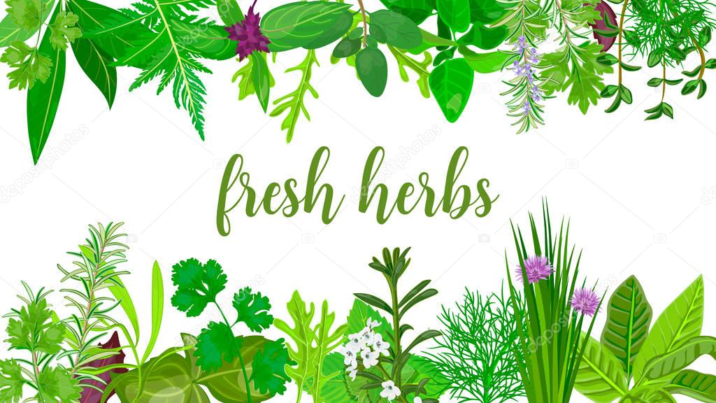 Popular Fresh Realistic herbs and flowers. logo label set. green silhouettes.