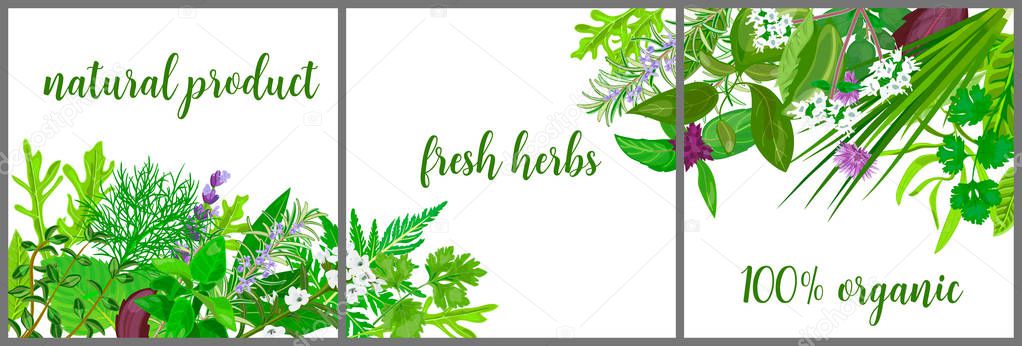 Wreath made of Realistic herbs and flowers with text. Herbs and Spices shop logo