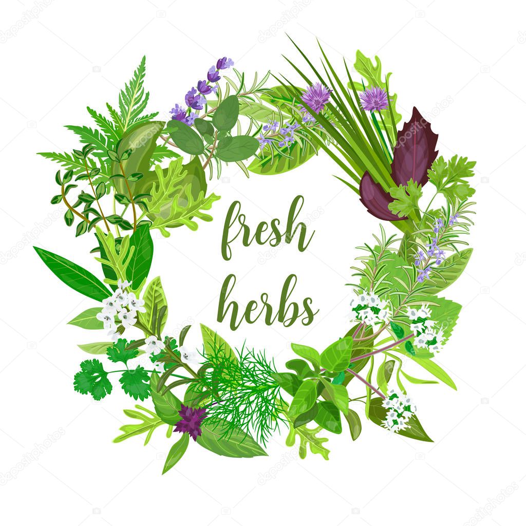 Wreath made of Realistic herbs and flowers with text. Herbs and Spices