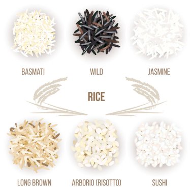 Beyaz arka plan üzerinde izole pirinç taneleri farklı türleri. Basmati, vahşi, Yasemin, uzun kahverengi arborio, suşi
