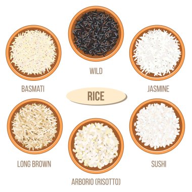 Pirinç kase farklı türleri. Basmati, vahşi, Yasemin, uzun kahverengi arborio, suşi