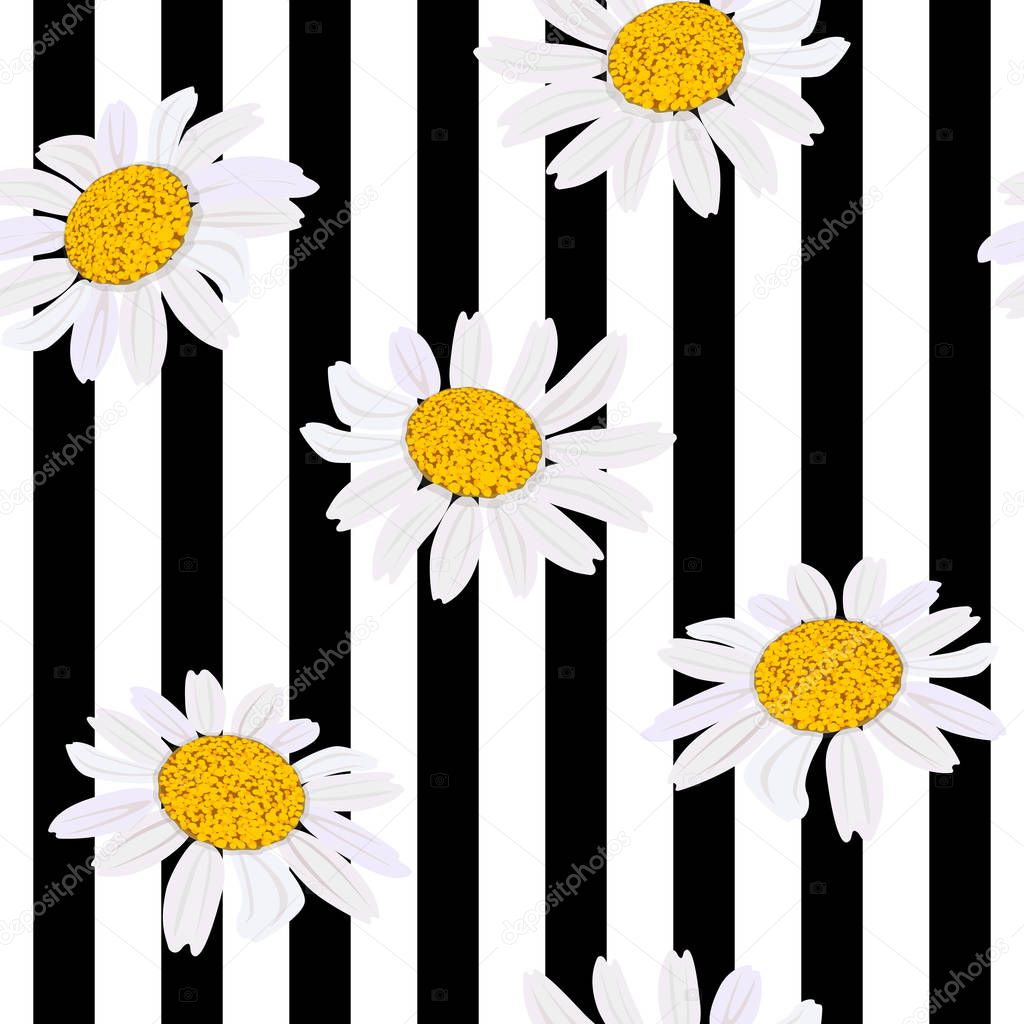 Daisy flowers. Seamless pattern. Vector illustration. black and white stripes