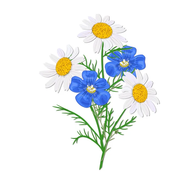 Daisy of kamille Wildflower geïsoleerd met stam. Vlas, forget-me-not blauw boeket bloemen — Stockvector