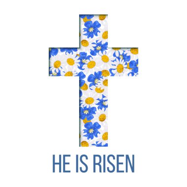 Yeniden doğdu. İncil alıntı, Holy Cross, Daisy ve mavi çiçekler, unutma, keten, papatya kır çiçeği başkanları