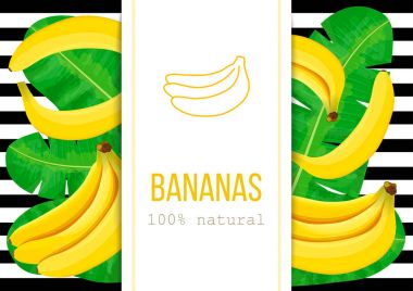 Olgun muz, tropikal palmiye metin ile yüzde 100 doğal bırakır. Dikey etiket. siyah şeritler.