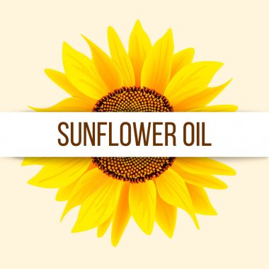 Ayçiçeği ve metin