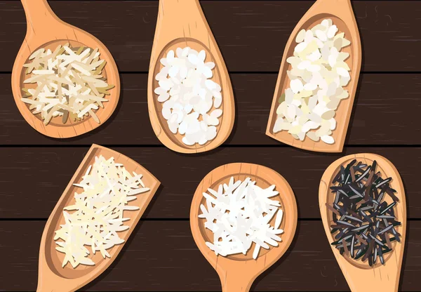 Diversi tipi di riso in cucchiai di legno. Basmati, selvatico, gelsomino, marrone lungo, arborio, sushi, fondo in legno scuro — Vettoriale Stock