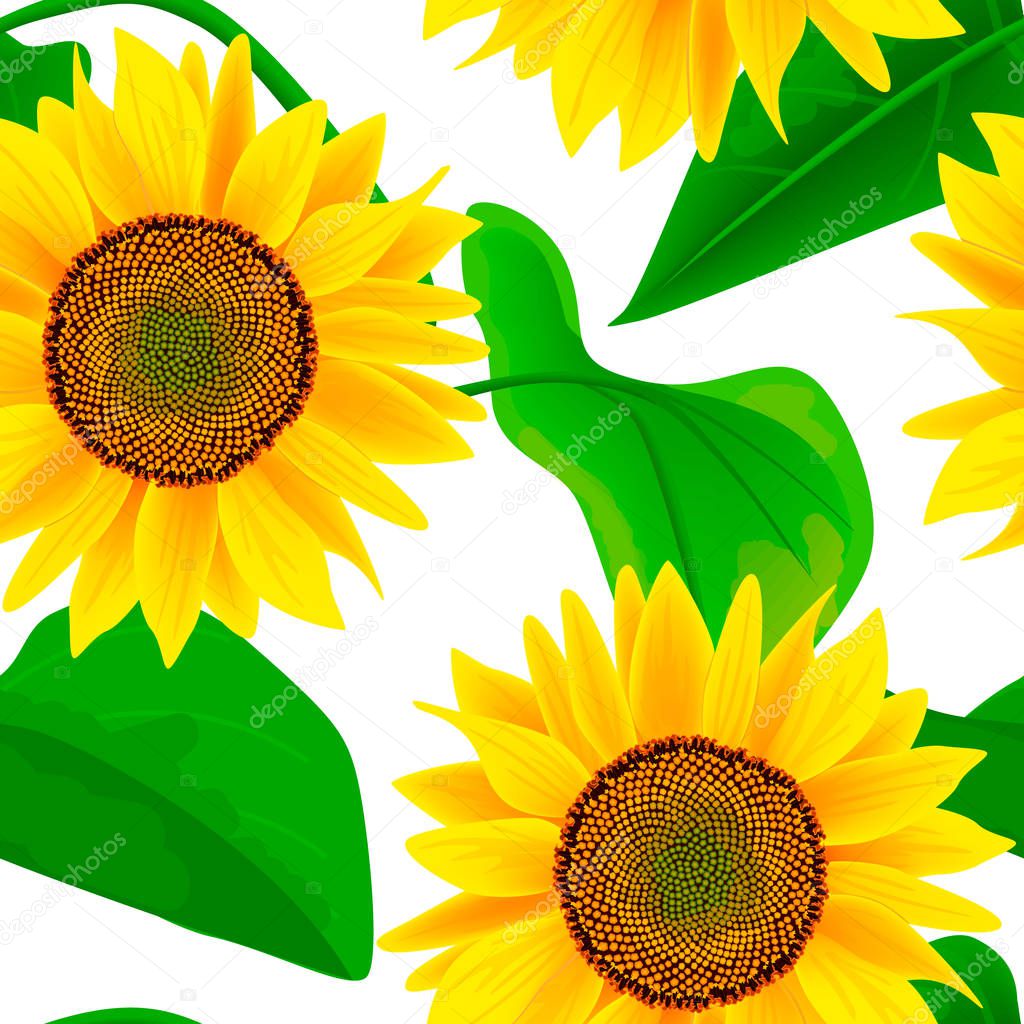 Sunflowers Seamless vector pattern. Autumn print. flowers and leaves, For textile, decoration, packing, wrapping,