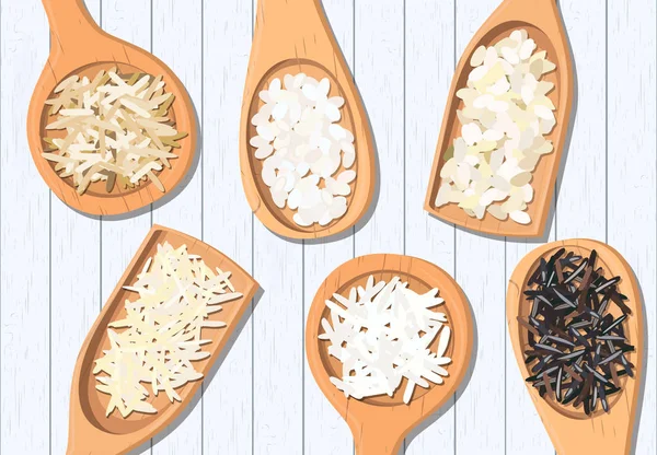 Diferentes tipos de arroz en cucharas de madera. Basmati, salvaje, jazmín, marrón largo, arborio, sushi — Vector de stock