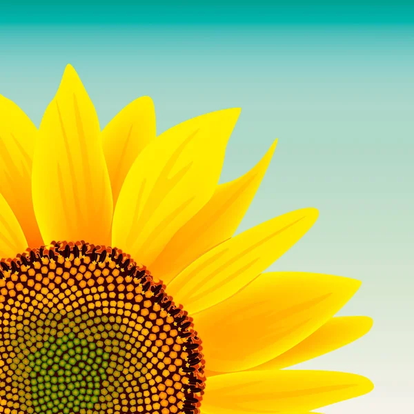 Bunga matahari pada gambar vektor langit biru - Stok Vektor