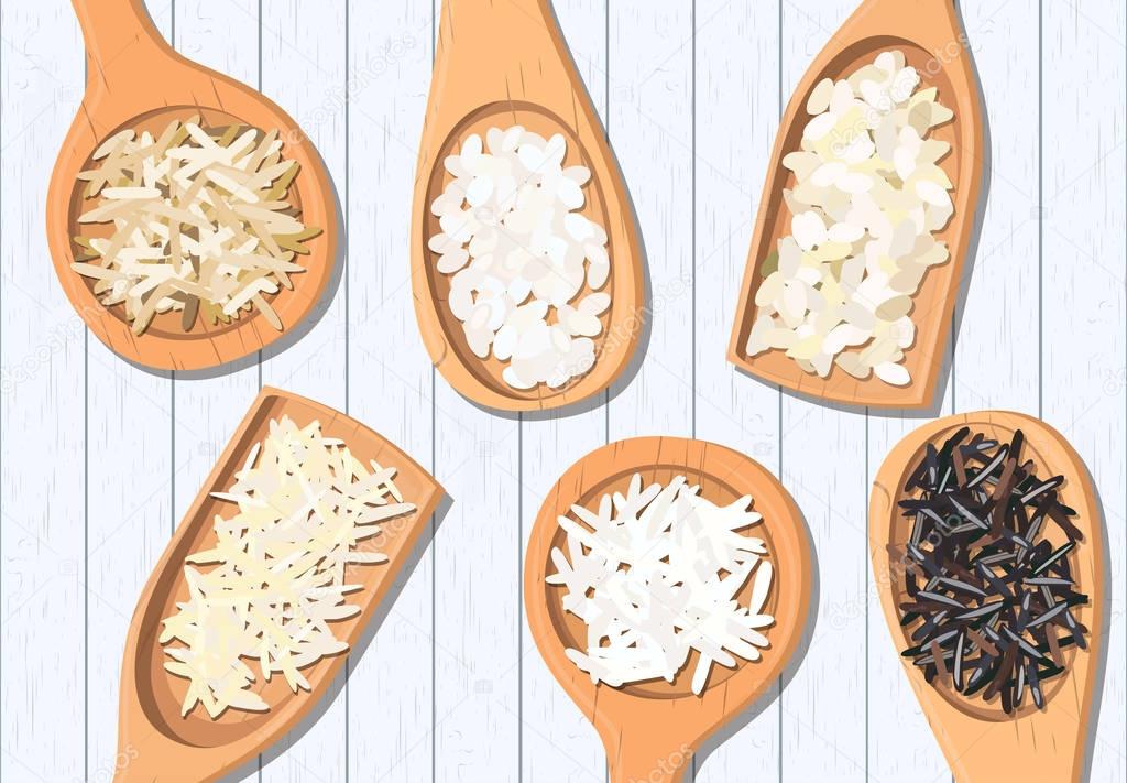 Different types of rice in wooden spoons. Basmati, wild, jasmine, long brown, arborio, sushi. For label, poster advertising. Vector illustration. white planks frame. For fastfood restaurant logo
