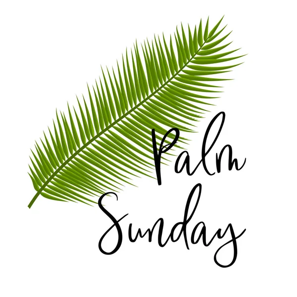 Green Palm leafs vector icon. Vector illustration for the Christian holiday. Palm Sunday text handwritten font. — Stock Vector