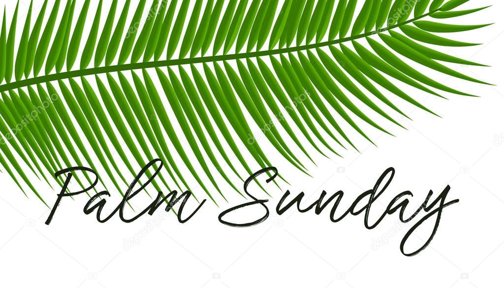 Green Palm leafs vector icon. Vector illustration for the Christian holiday Palm Sunday