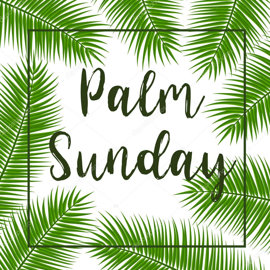 Green Palm leafs vector square frame. Vector illustration for the Christian holiday. Palm Sunday text handwritten font.