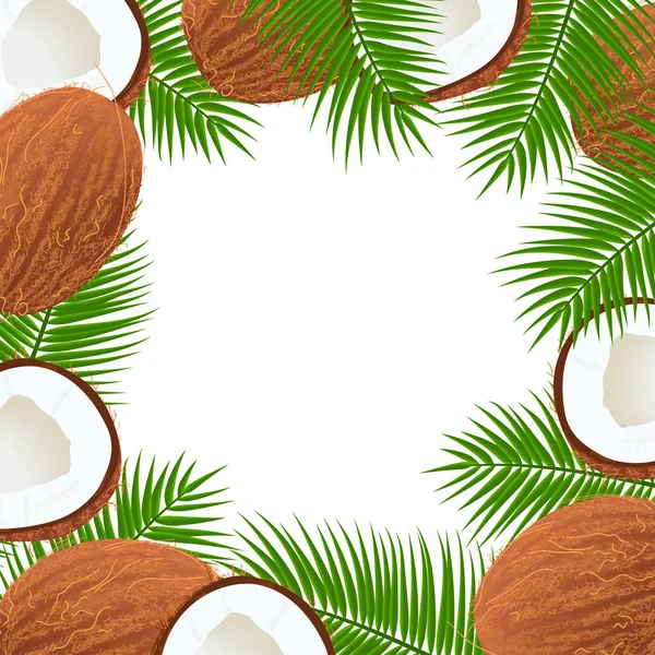 Cocos maduros enteros y agrietados y marco de hojas de palma. Lugar central para el texto. plantilla de etiqueta. Tropical — Archivo Imágenes Vectoriales