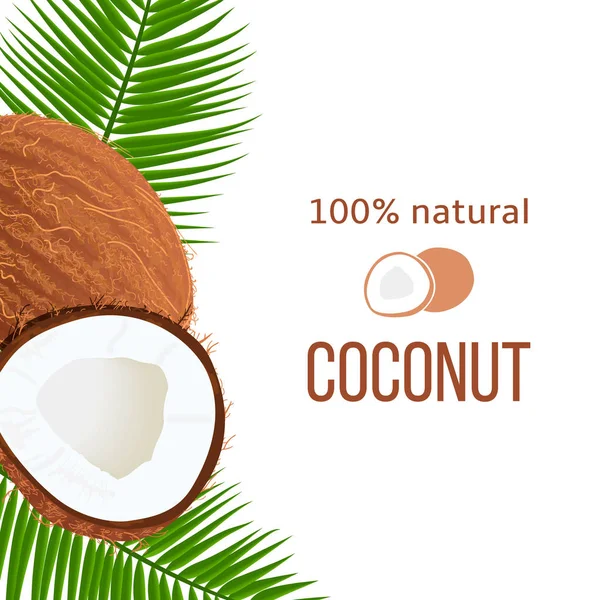 Noix de coco mûres entières et fissurées et feuilles de palmier avec texte rayé 100 % naturel. Label vertical. Tropical — Image vectorielle