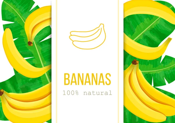 Bananas maduras e folhas de palma com texto 100% natural. Etiqueta de listra vertical. Ilustração vetorial com motivo trópico — Vetor de Stock